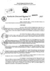 Vista preliminar de documento RDR 0225-2025
