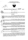 Vista preliminar de documento RDR 0226-2025