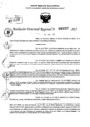 Vista preliminar de documento RDR 0227-2025