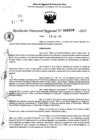 Vista preliminar de documento RDR 0229-2025