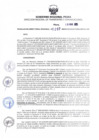 Vista preliminar de documento RDR N°207-2025-19-03-2025