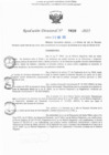 Vista preliminar de documento RD N° 439-2025