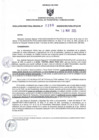 Vista preliminar de documento RDR N°208-2025-19-03-2025