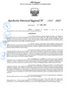 Vista preliminar de documento 064 2025