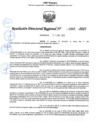 Vista preliminar de documento 065 2025