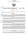 Vista preliminar de documento 066 2025