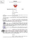 Vista preliminar de documento Resolucion Directoral N° 002084-2025