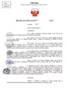 Vista preliminar de documento Resolucion Directoral N° 002089-2025