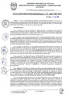 Vista preliminar de documento RDR 055-2025