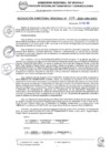 Vista preliminar de documento RDR 060-2025