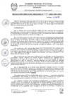 Vista preliminar de documento RDR 061-2025