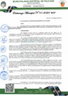 Vista preliminar de documento APROBAR la implementación de la secretaria técnica distrital de seguridad Ciudadana en el Distrito de Paucará.