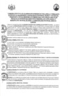 Vista preliminar de documento CONV004-2025