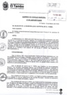 Vista preliminar de documento ACM001-2025-SE