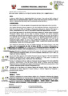 Vista preliminar de documento RESOLUCION DE GERENCIA GENERAL REGIONAL-000196-2025-GG