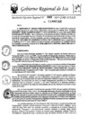 Vista preliminar de documento rer-060-2025-gore-ica-gr