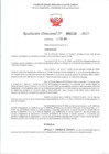 Vista preliminar de documento RD 228-2025 - CONTRA DOC - AVILA CASTILLO GUILLERMO JEREMIAS