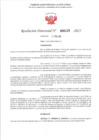 Vista preliminar de documento RD 229-2025 - CONTRA DOC - MEZA COPITAN RUBEN AVELINO