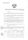 Vista preliminar de documento Resolución Jefatural Nº 059-2025-INEI