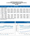 Vista preliminar de documento Movimiento de Pasajeros Mensual (2021-2025)