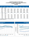 Vista preliminar de documento Movimiento de Operaciones Mensual (2021-2025)