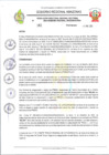 Vista preliminar de documento RESOLUCION N 161