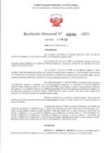 Vista preliminar de documento RD 262-2025 - CONTRA DOC - SANTILLAN RAMIREZ JAVIER AUGUSTO