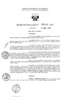 Vista preliminar de documento 1154