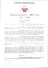 Vista preliminar de documento RD 271-2025 - CONTRA DOC - CHINCHAY COLONIA GLADYS EMILIA