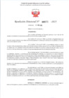 Vista preliminar de documento RD 272-2025 - CONTRA DOC - PASCUAL MENDOZA IVAN MANOLO