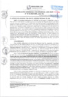 Vista preliminar de documento RGSRLS 0110-2024
