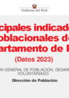 Vista preliminar de documento Puno