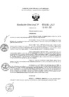 Vista preliminar de documento 1165