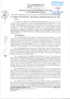 Vista preliminar de documento RGSRLS 0112-2024