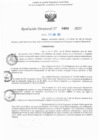 Vista preliminar de documento RD N° 450-2025