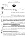 Vista preliminar de documento RDR 0231-2025