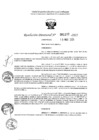 Vista preliminar de documento 1177