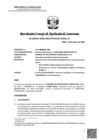 Vista preliminar de documento RCONAS-00059-2025-PRODUCE-CONAS-UT