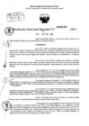 Vista preliminar de documento RDR 0233-2025