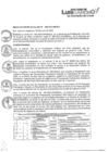 Vista preliminar de documento Comite de Vigilancia - Presupuesto Participativo basado en resultados 2024