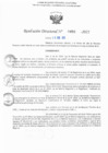 Vista preliminar de documento RD N° 459-2025