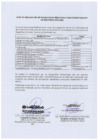 Vista preliminar de documento Proyectos Priorizados - Presupuesto Participativo basado en resultados 2025