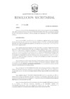 Vista preliminar de documento RS N° 009-2025-MINEM-SG