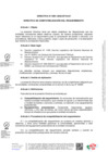 Vista preliminar de documento Directiva0001_2025EF5401
