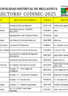 Vista preliminar de documento DIRECTORIO  CODISEC BELLA  2025
