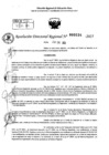 Vista preliminar de documento RDR 0234-2025