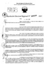 Vista preliminar de documento RDR 0236-2025
