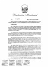 Vista preliminar de documento RM 055