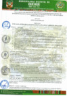 Vista preliminar de documento REGLAMENTO DEL PRESUPUESTO PARTICIPATIVO