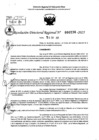 Vista preliminar de documento RDR 0238-2025